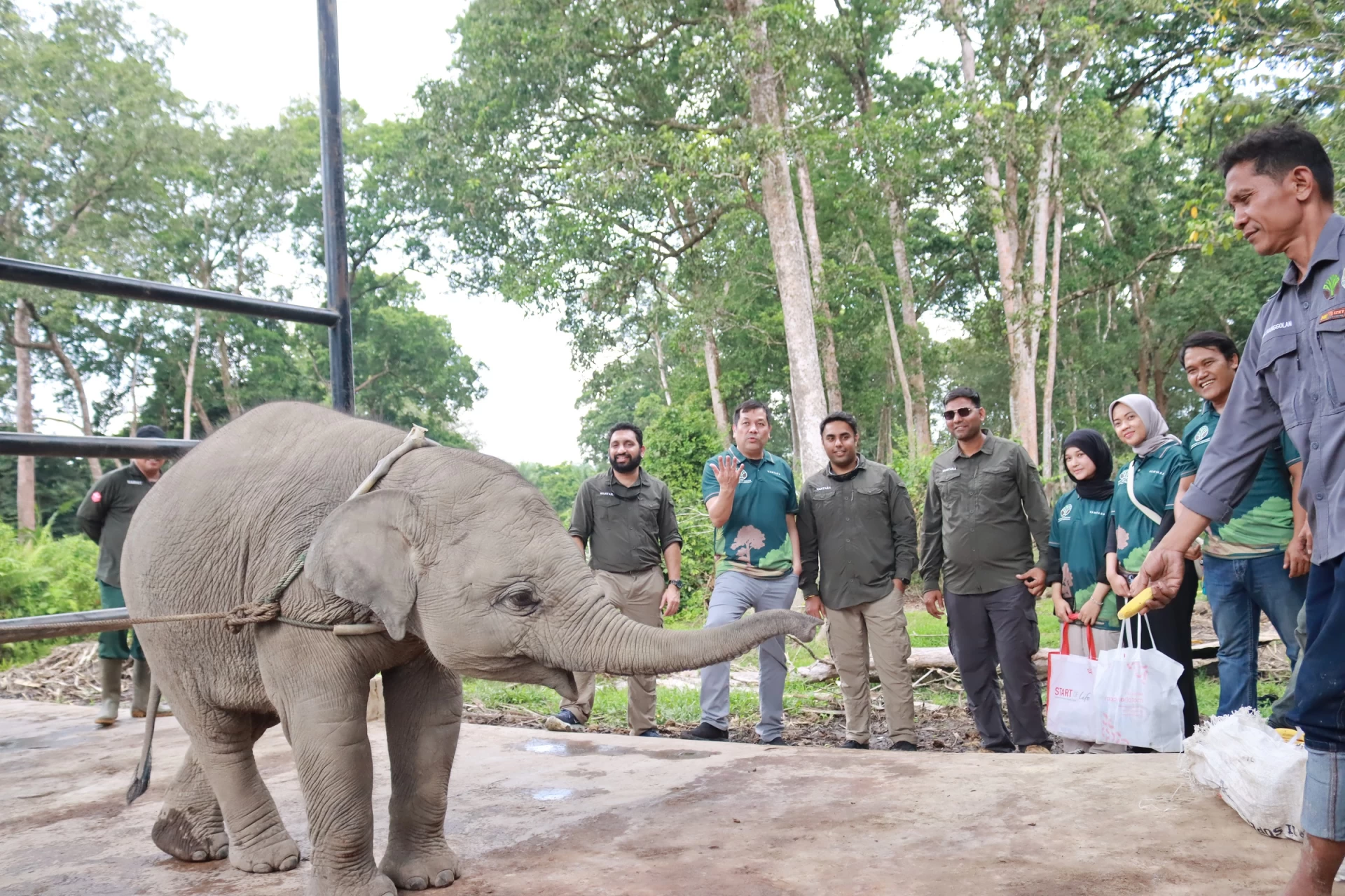International Wildlife Conservation: Historic Partnership Between India's Vantara and Indonesia