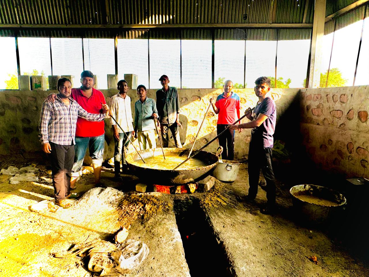 तेजा दशमी पर गायों और पशुओ को खिलाया खाना