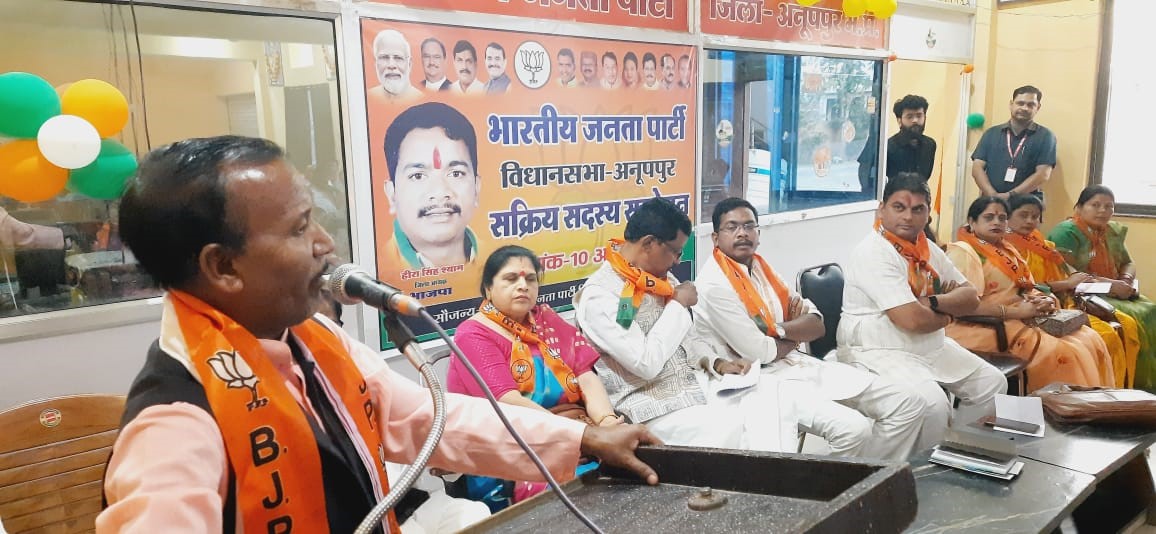 अनूपपुर एवं पुष्पराजगढ़ विधानसभा में भाजपा का कार्यकर्ता सम्मेलन हुआ संपन्न 
