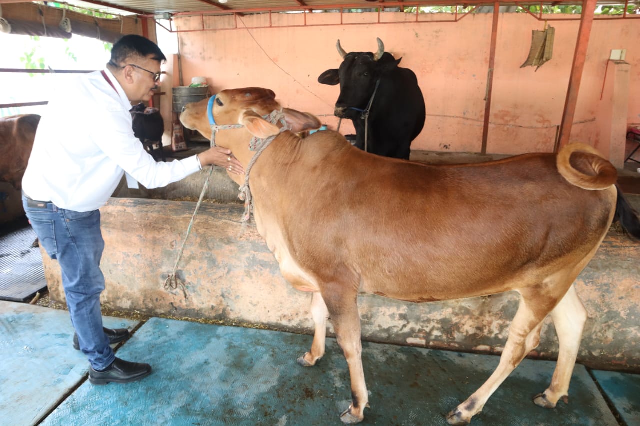 सहारनपुर जिला अधिकारी डा. दिनेश चंद्र सिंह: पशुओं को लगातार पौष्टिक तत्व देने में नेपियर घास का महत्वपूर्ण स्थान