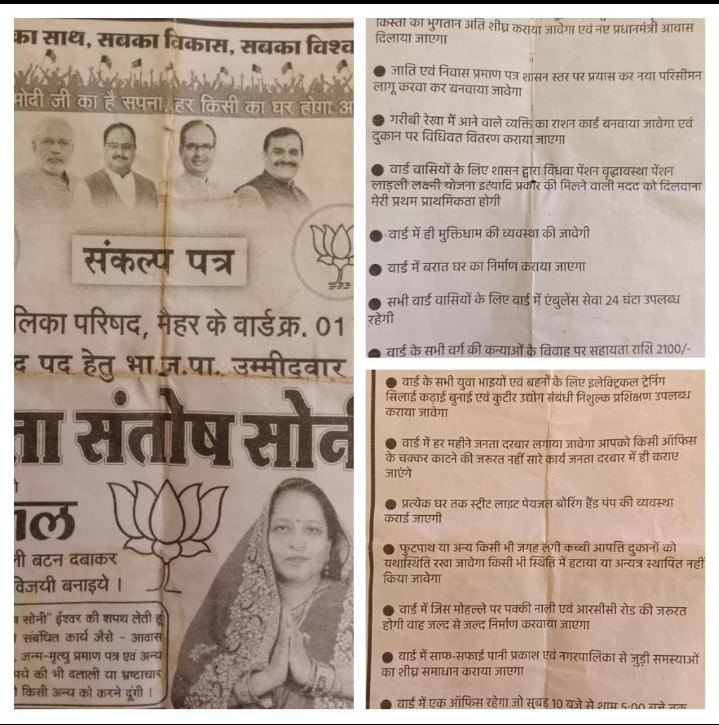 कहां किये गये मैहर नगर पालिका अध्यक्ष गीता संतोष सोनी के वादे पूरे