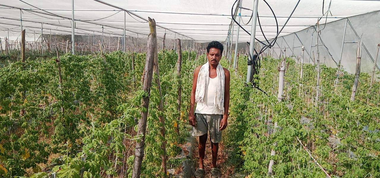 Kaveram is becoming economically strong with the National Agricultural Development Scheme