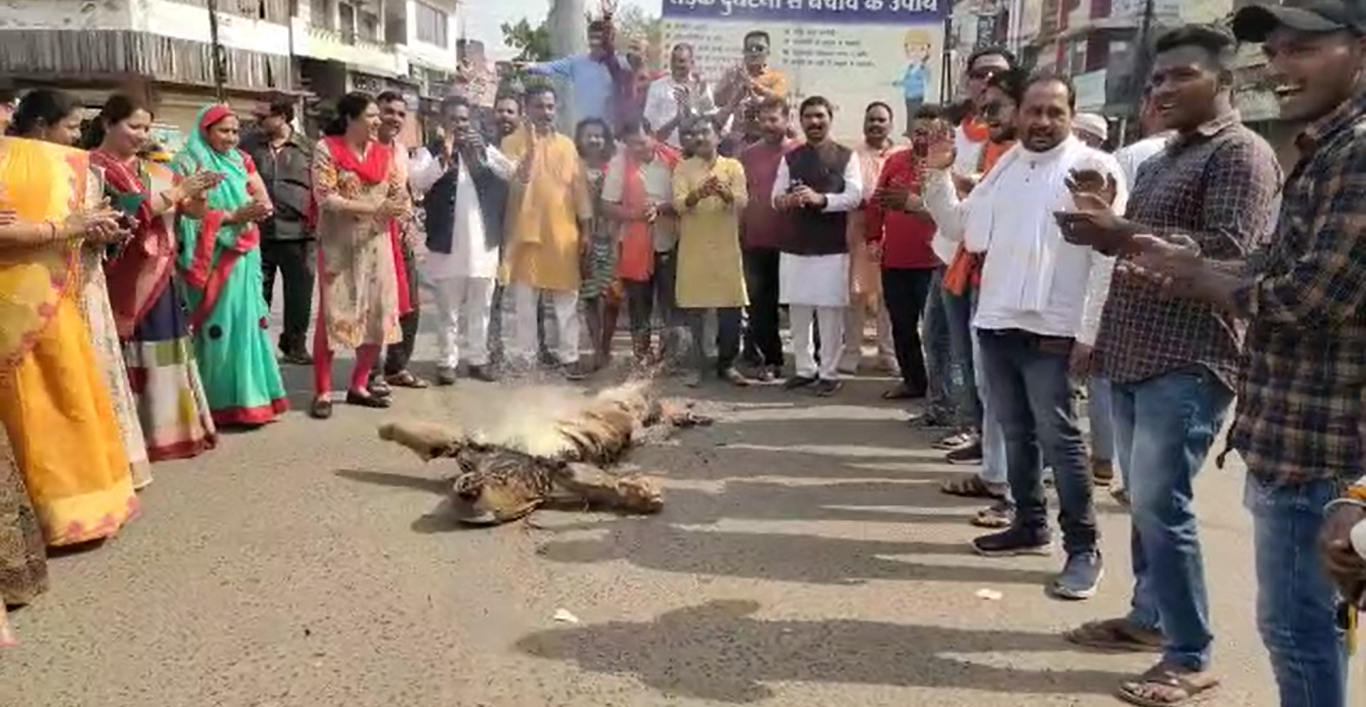 BJP burnt effigy of opposition Dr. Govind Singh in MP's Shahdol