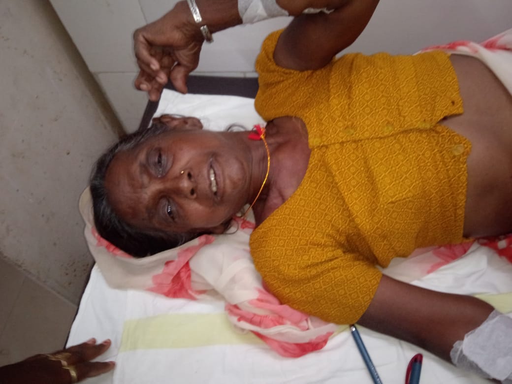 जमीन में सो रही वृद्धा को काटा जहरीला करैत सर्प