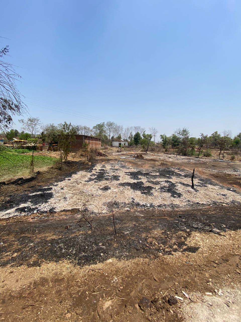 शहडोल के धनपुरी में 300 टन वूडन स्क्रेप जलकर हुआ खाक  