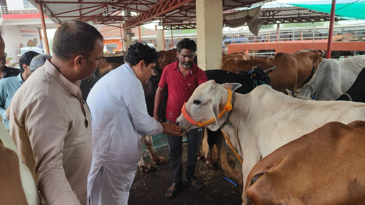 प्रभारी मंत्री सुनील शर्मा ने कान्हा उपवन गौशाला का किया निरीक्षण
