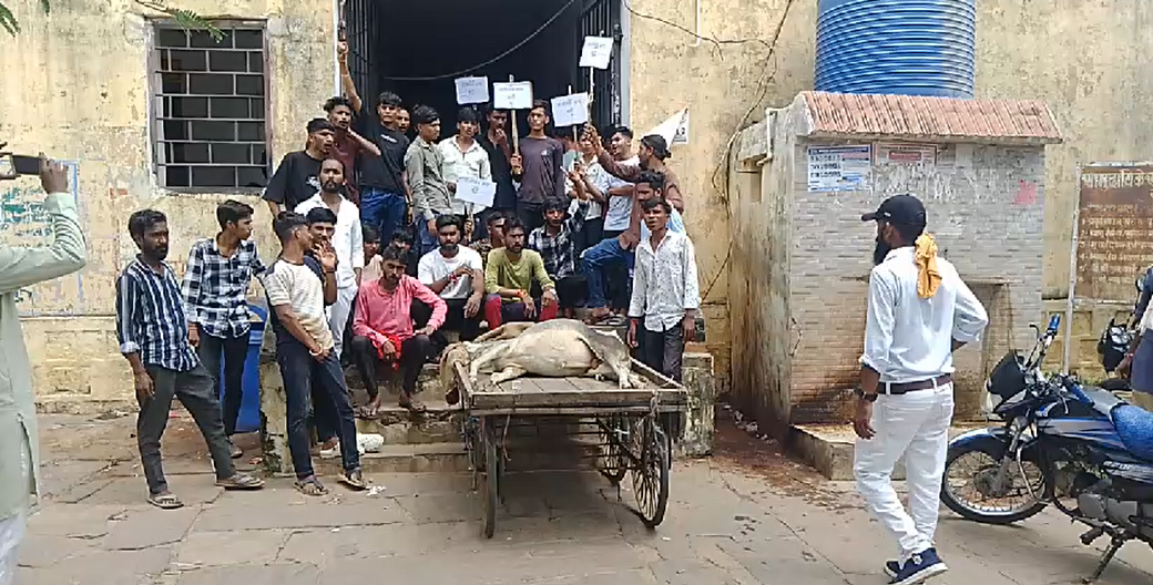 पॉलीथिन पर पूर्ण रूप से प्रतिबंध लगाने के लिए गौ रक्षकों ने निकली रैली