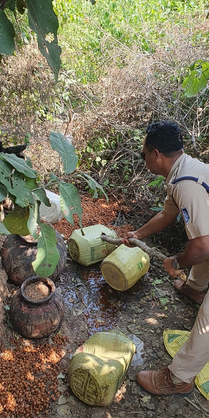 म प्र. के मेहर में मंदिर परिसर में महुआ शराब बनाने की सामग्री बरामद