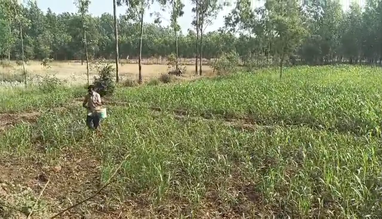 जिलाधिकारी की अपील का हो रहा असर