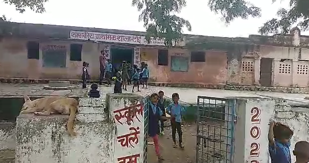 पन्ना के नगर परिषद गुनौर में भव्य कलश यात्रा एवं जागरूकता रैली