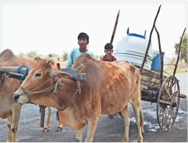 दमोह में जलसंकट की दस्तक