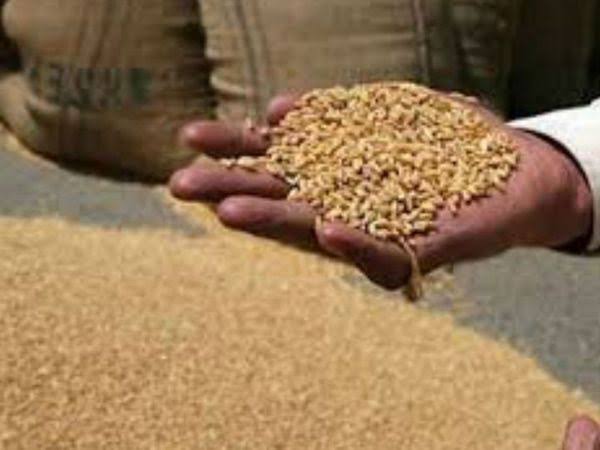 सहारनपुर में 99 केंद्रों पर होगी गेहूं की खरीद