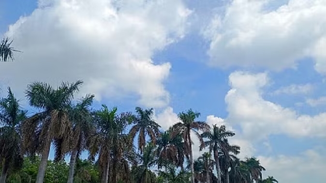 तापमान में लगातार बढ़ोतरी