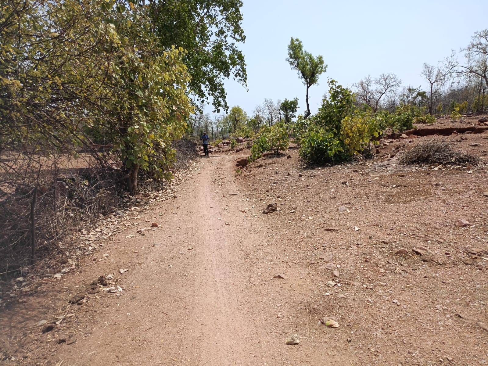 ग्राम पंचायत देवरा भापतपुर के ग्राम गड़ैल्या पुरवा में सड़क की ग्रामीणों ने कारी मांग