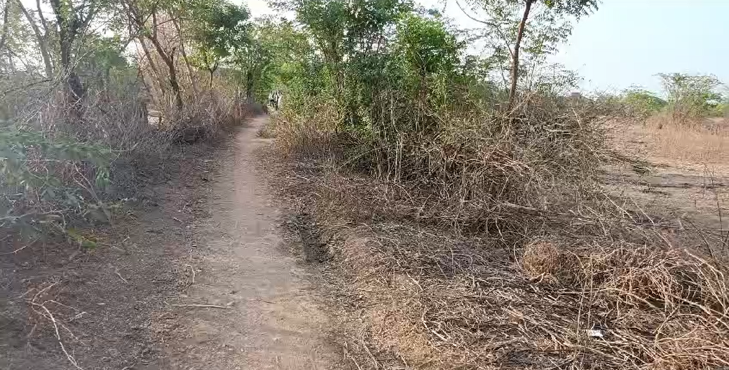 ग्राम पंचायत मकरी के ग्रामीणों ने सड़क को लेकर कलेक्टर से लगाई गुहार