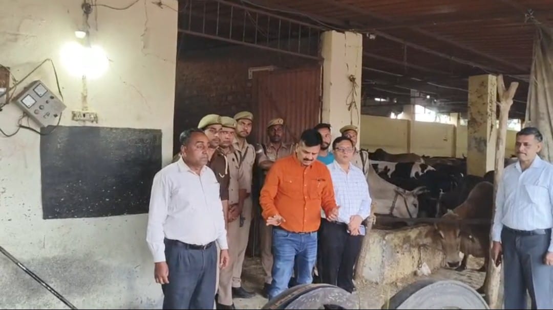 जिलाधिकारी ने होली के दिन किया गौशाला का औचक निरीक्षण, व्यवस्थाएं मिली संतोषजनक