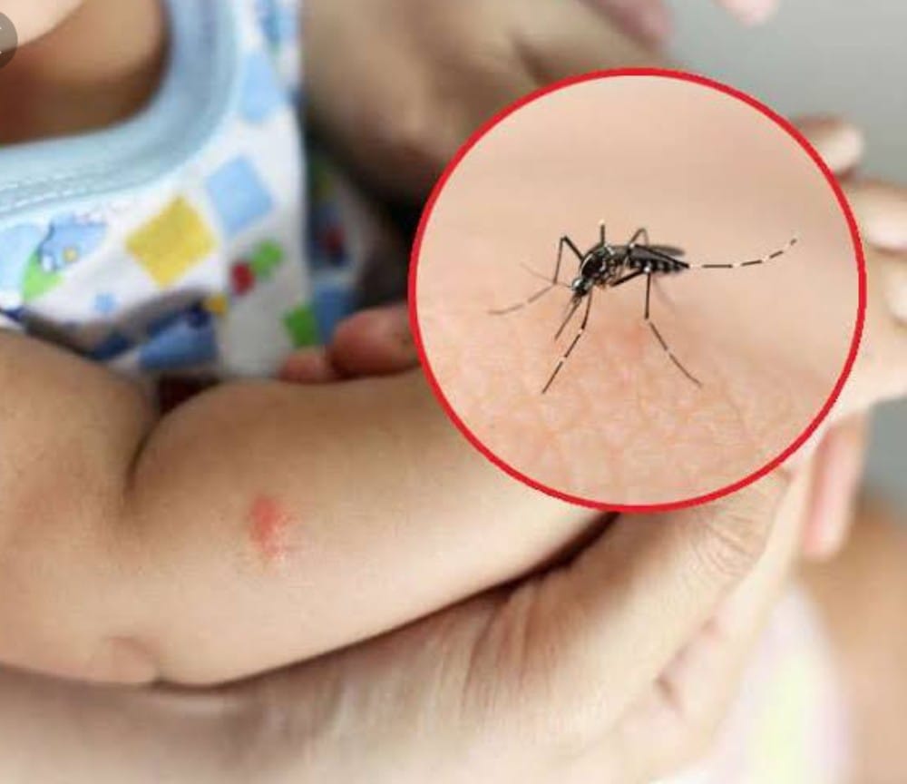 अबकी डेंगू से निपटने को लेकर स्वास्थ्य विभाग पहले ही अलर्ट मोड पर