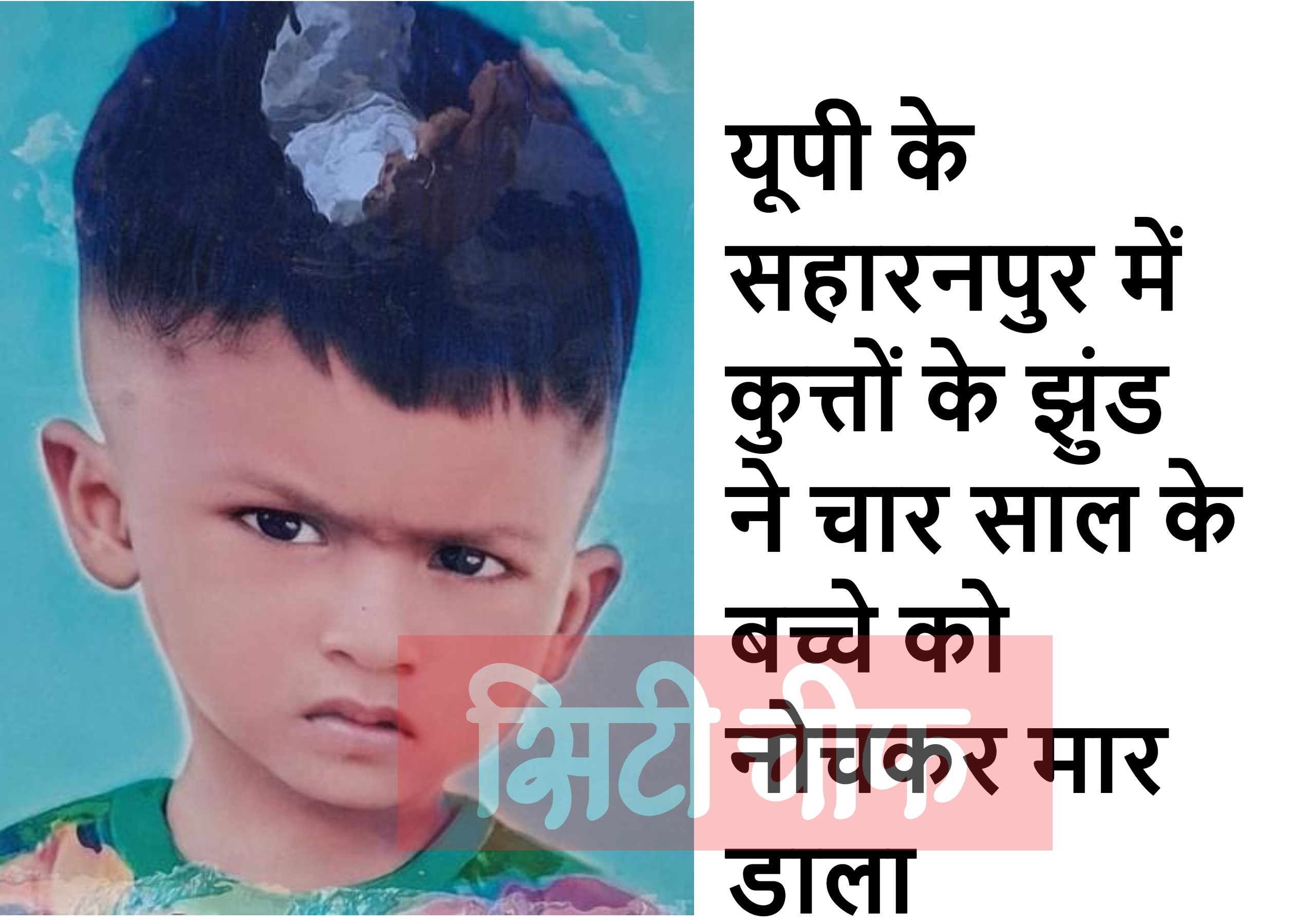 A herd of dogs mauled a four-year-old child to death