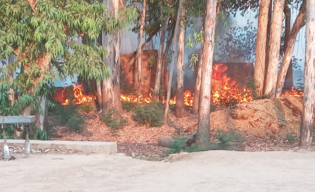 तालाब की सफाई के लिए ठेकेदार द्वारा लगाई गई आग पडोस में रहने वाले व्यक्ति के घेर तक पहुंची