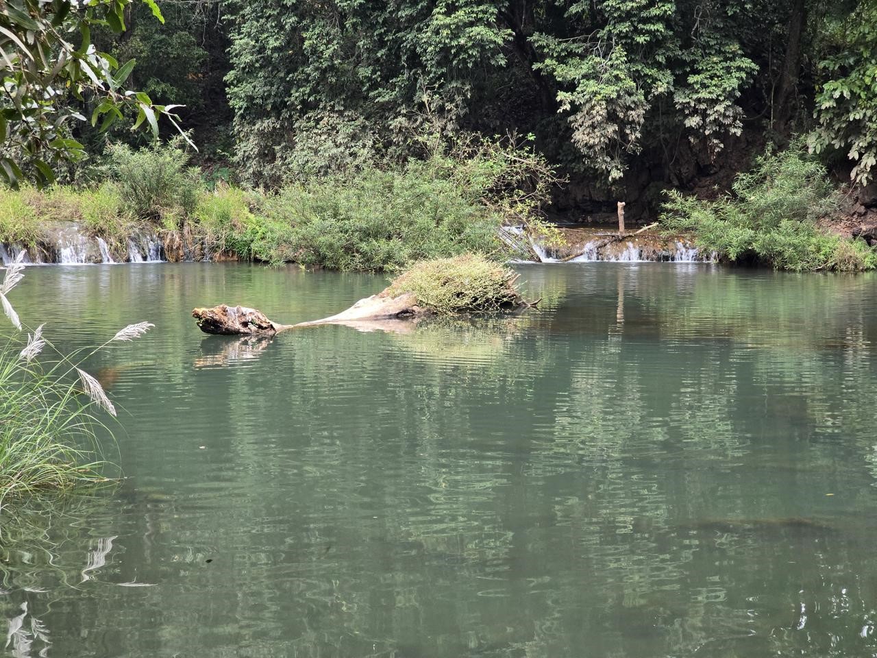 नया पर्यटन स्थल तिरिया बना आकर्षण का केंद्र, सैर-सपाटे के साथ पिकनिक का नया डेस्टिनेशन