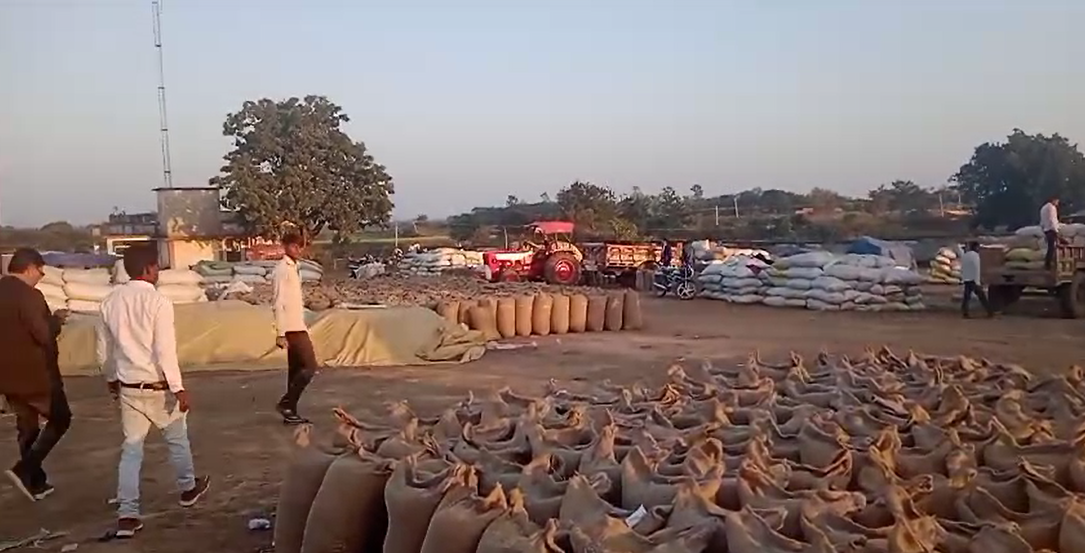 पन्ना के रैपुरा में धान खरीदी केंद्रों में किसानों की धान की फीडिंग होने के बाद समय पर नहीं मिल रही पर्ची