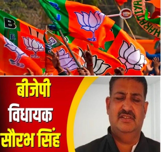 पंचायत चुनाव के मद्देनज़र भाजपा ने बनाई प्रांतीय समिति