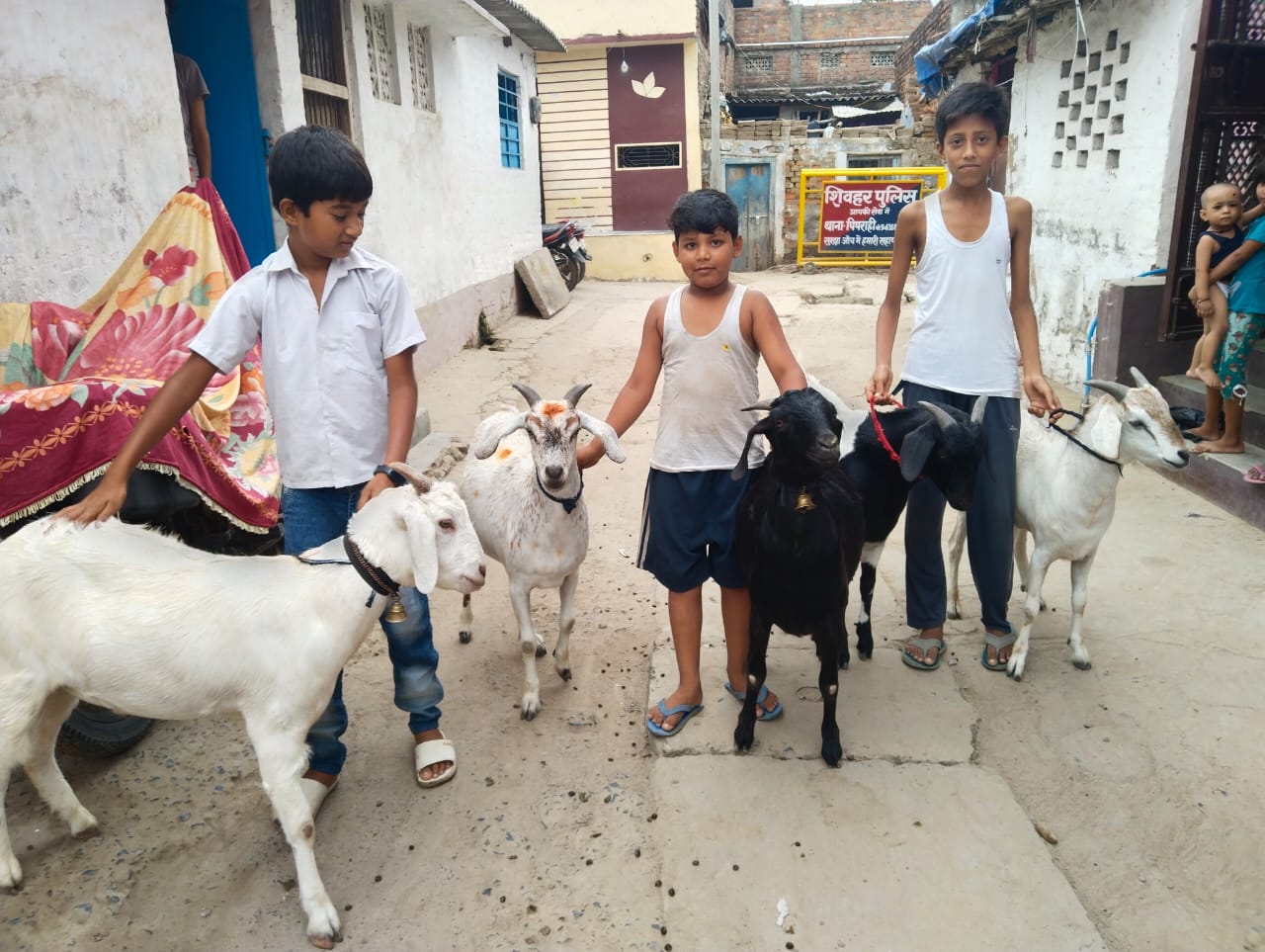 बकरीद पर्व 17 जुन को, बकरे की दाम आसमान पर
