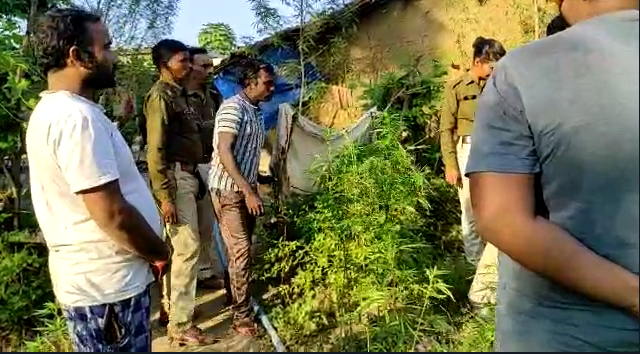 In Sohagpur, Madhya Pradesh, the police took a big action against drugs