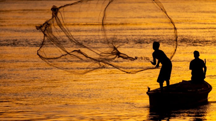 छतरपुर में 15 अगस्त तक मत्स्याखेट प्रतिबंधित